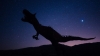 ¿Cuántos tipos y especies de dinosaurios existieron?